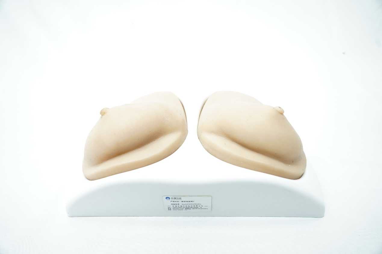 Breast Ultrasound Examination Model