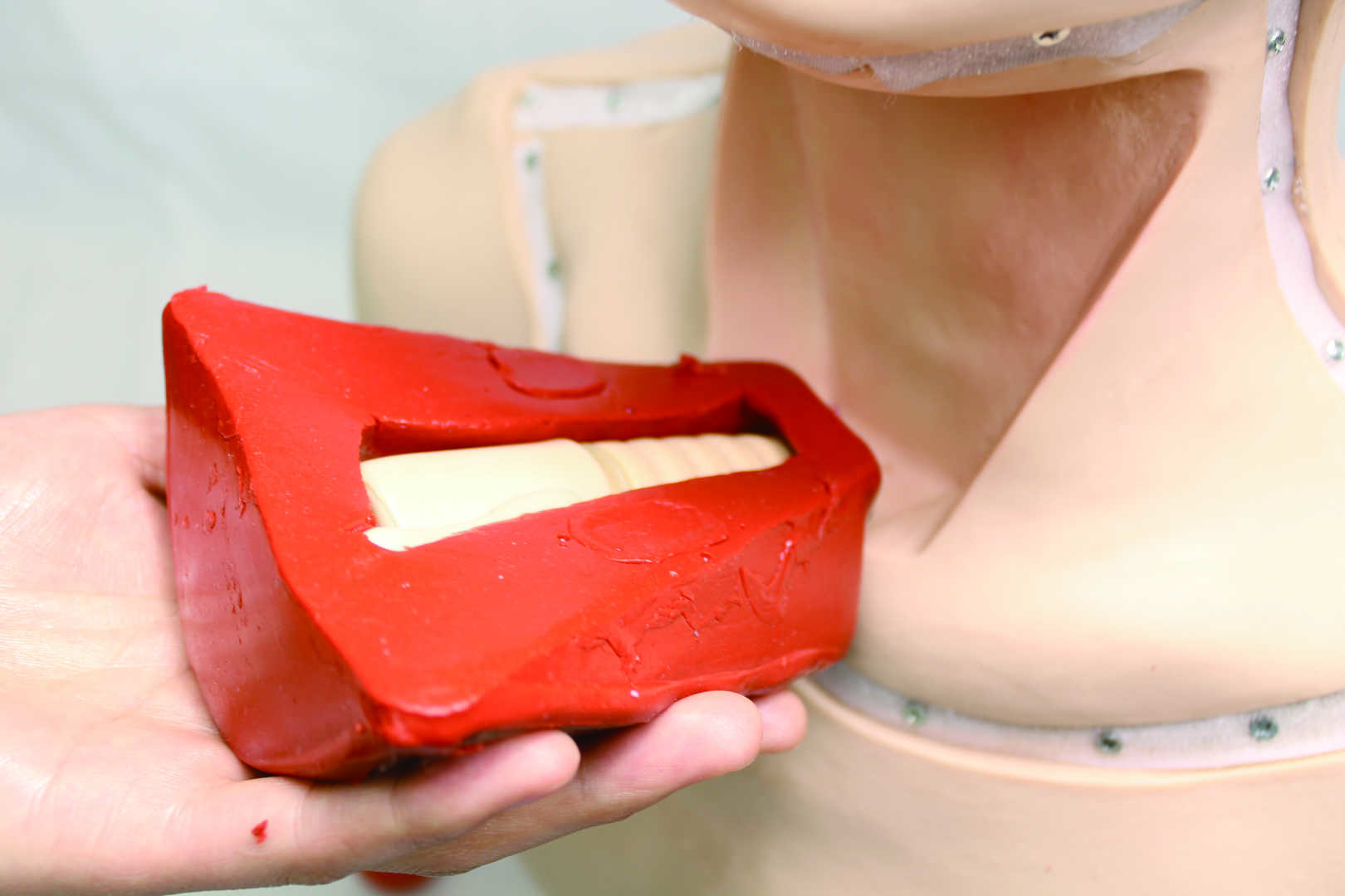 Tracheostomy Model