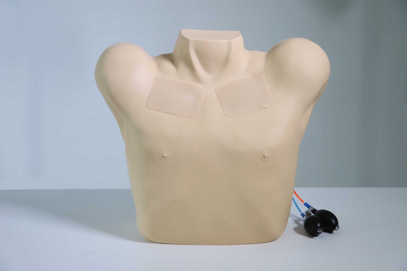 Pneumothorax & Chest Drain Model