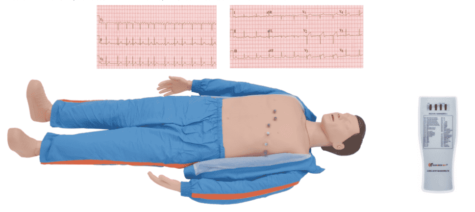 ECG Simulated Manikin