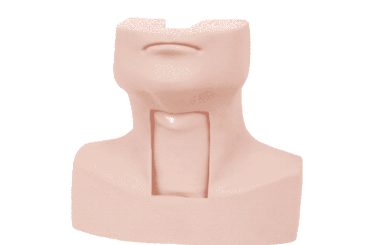 Advanced Thyrocricocentesis and Tracheostomy Simulator