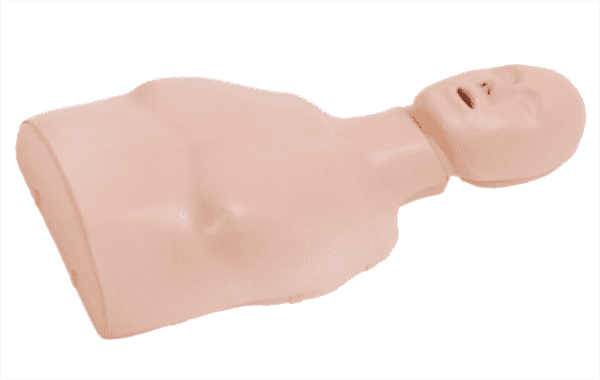 Half Body CPR Training Manikin (Basic)