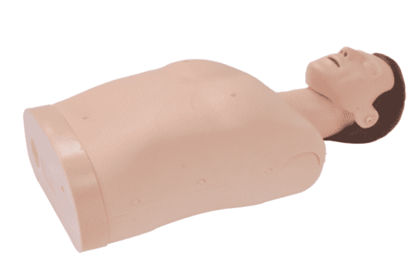 Half Body CPR Training Manikin (with alarm sound)